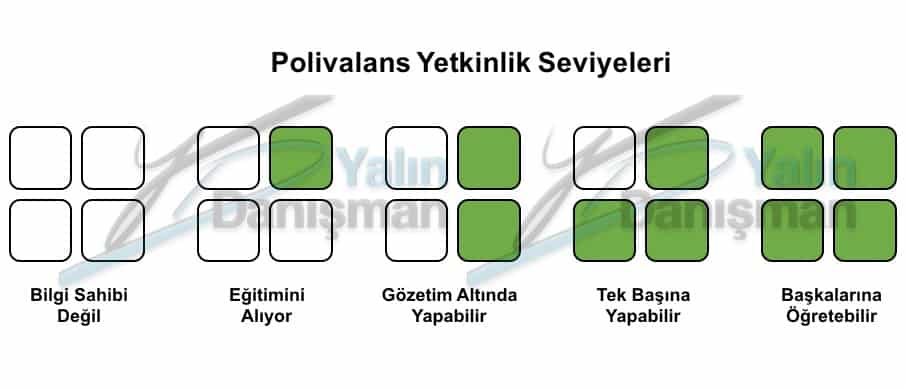 Polivalans Seviyeler